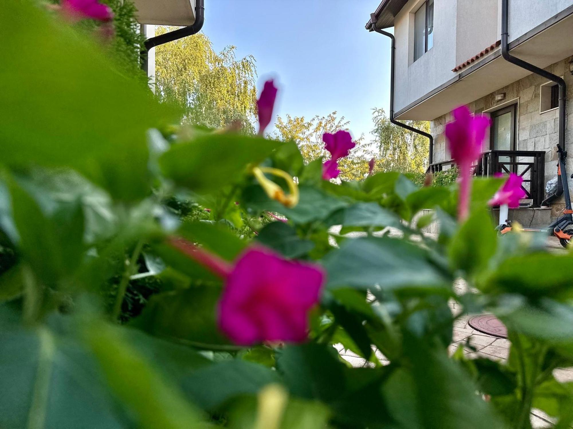 Menada Imperial Heights Villas Sunny Beach Exterior photo